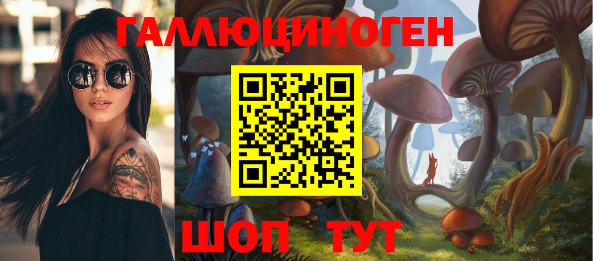 Псилоцибиновые грибы Psilocybe  Вход с VPN  дарнет шоп  Таганрог  Псилоцибиновые грибы прущие грибы 